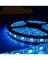 Banda led albastra 60 leduri 5050/metru, 24V, rezistenta la apa, la rola de 5 metri - LS-5050-01B