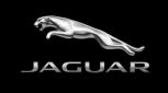 Sticle far Jaguar