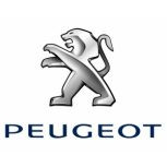 Sticle far Peugeot